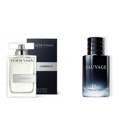 YODEYMA CARIBBEAN- SAUVAGE (Dior) NOWOŚĆ 2017 YODEYMA CARIBBEAN- SAUVAGE (Dior) NOWOŚĆ 2017
